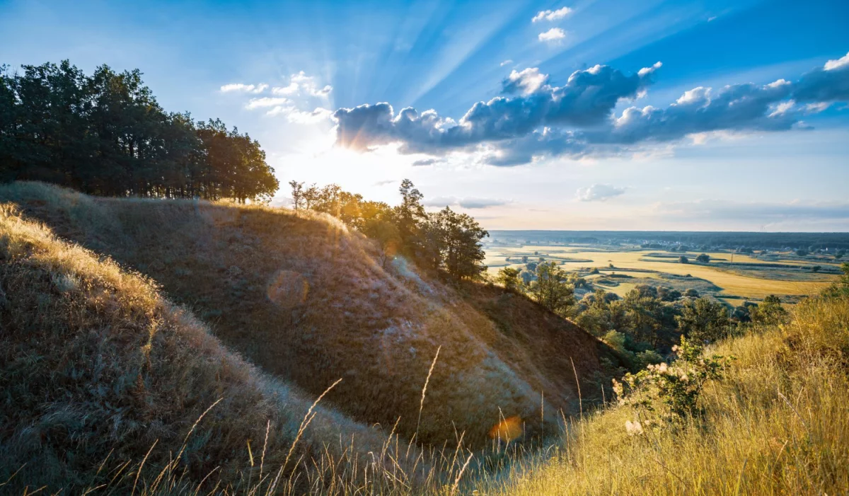 8 Wskazówek Aby złożyć sprawozdanie BDO