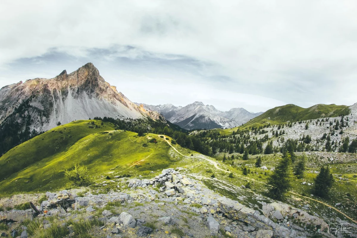 Kto może transportować ponadgabaryty?