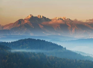 Czy warto wynająć namiot eventowy?