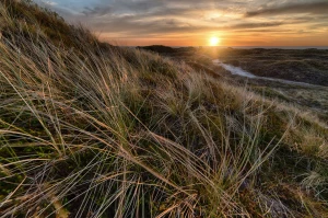 zrozumieć informatykę? Jak ekspert!